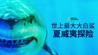 thumbnail - 世上最大大白鲨：夏威夷探险