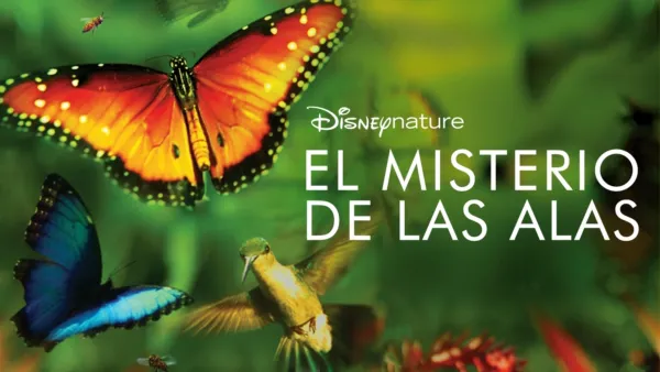 thumbnail - El misterio de las alas