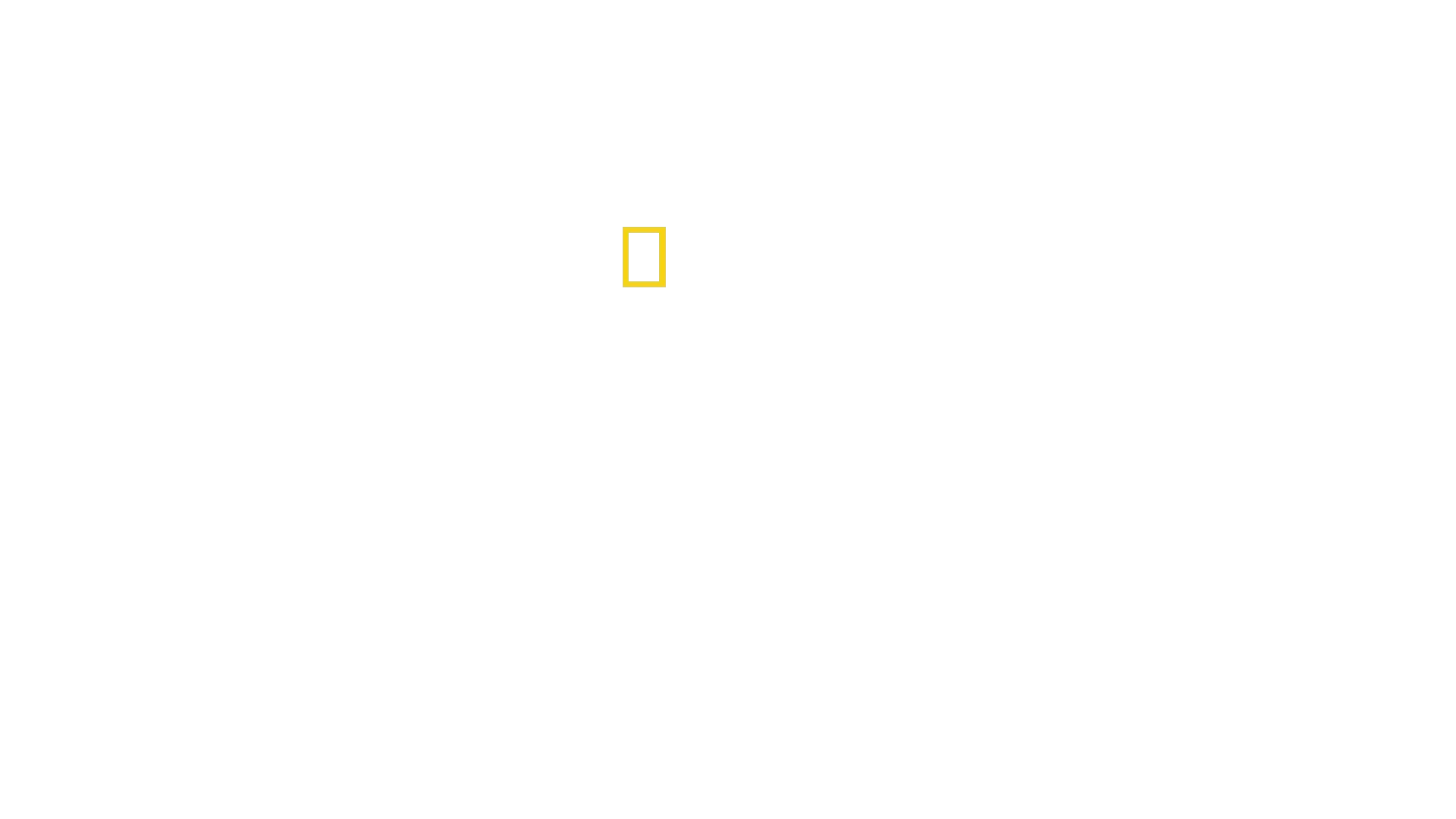 Ihmelaskeutuminen Hudson-jokeen
