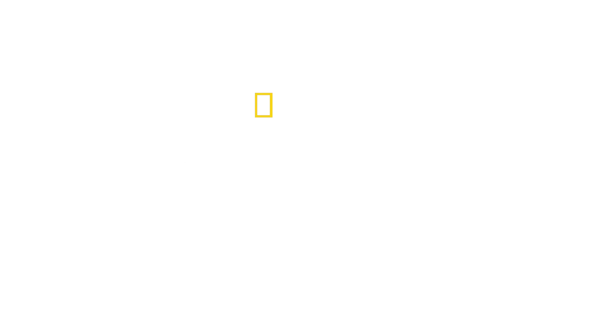 Ihmelaskeutuminen Hudson-jokeen