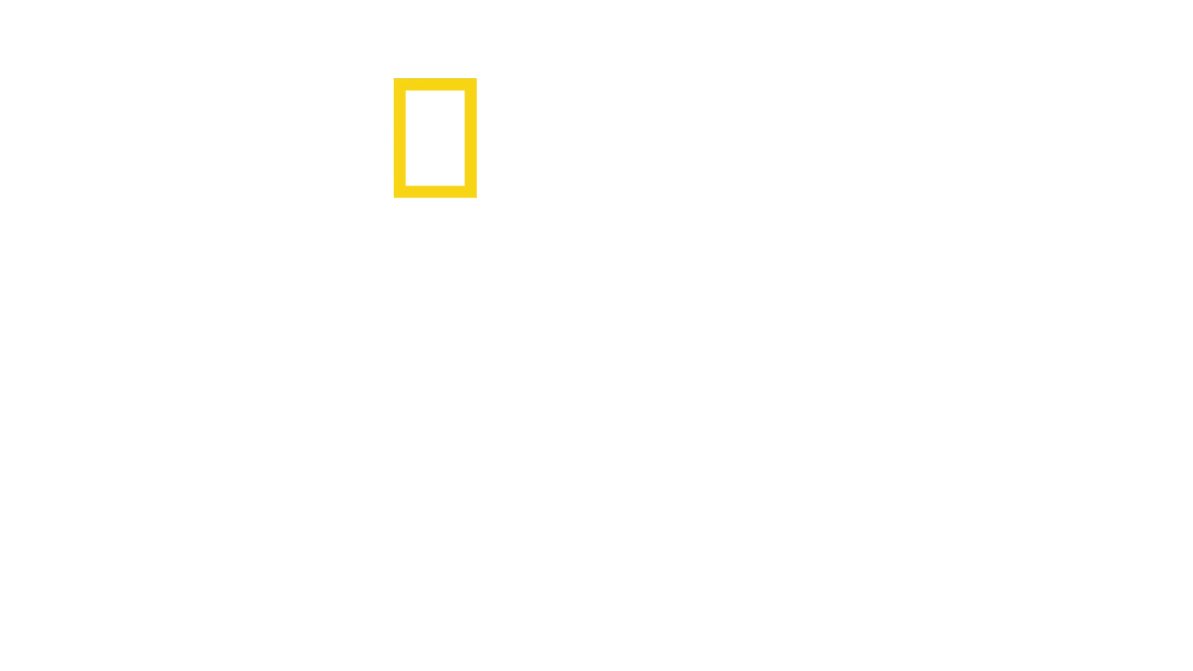 Za linią wroga