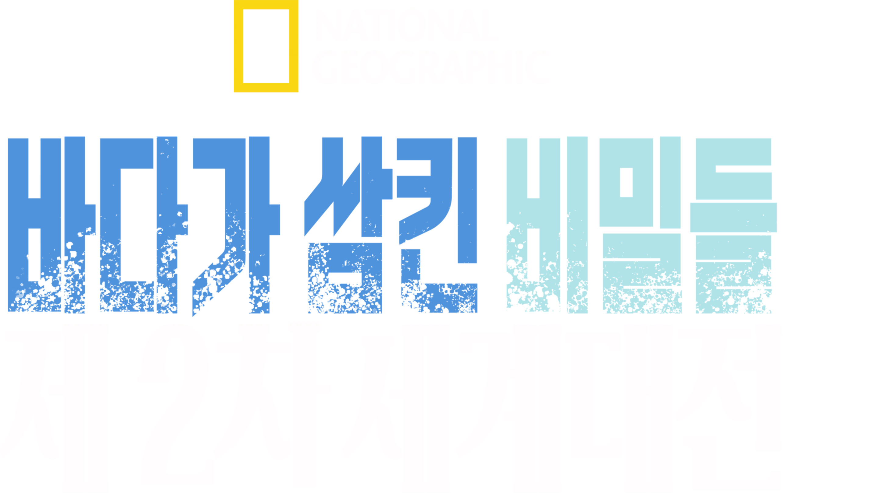 바다가 삼킨 비밀들: 제 2차 세계대전
