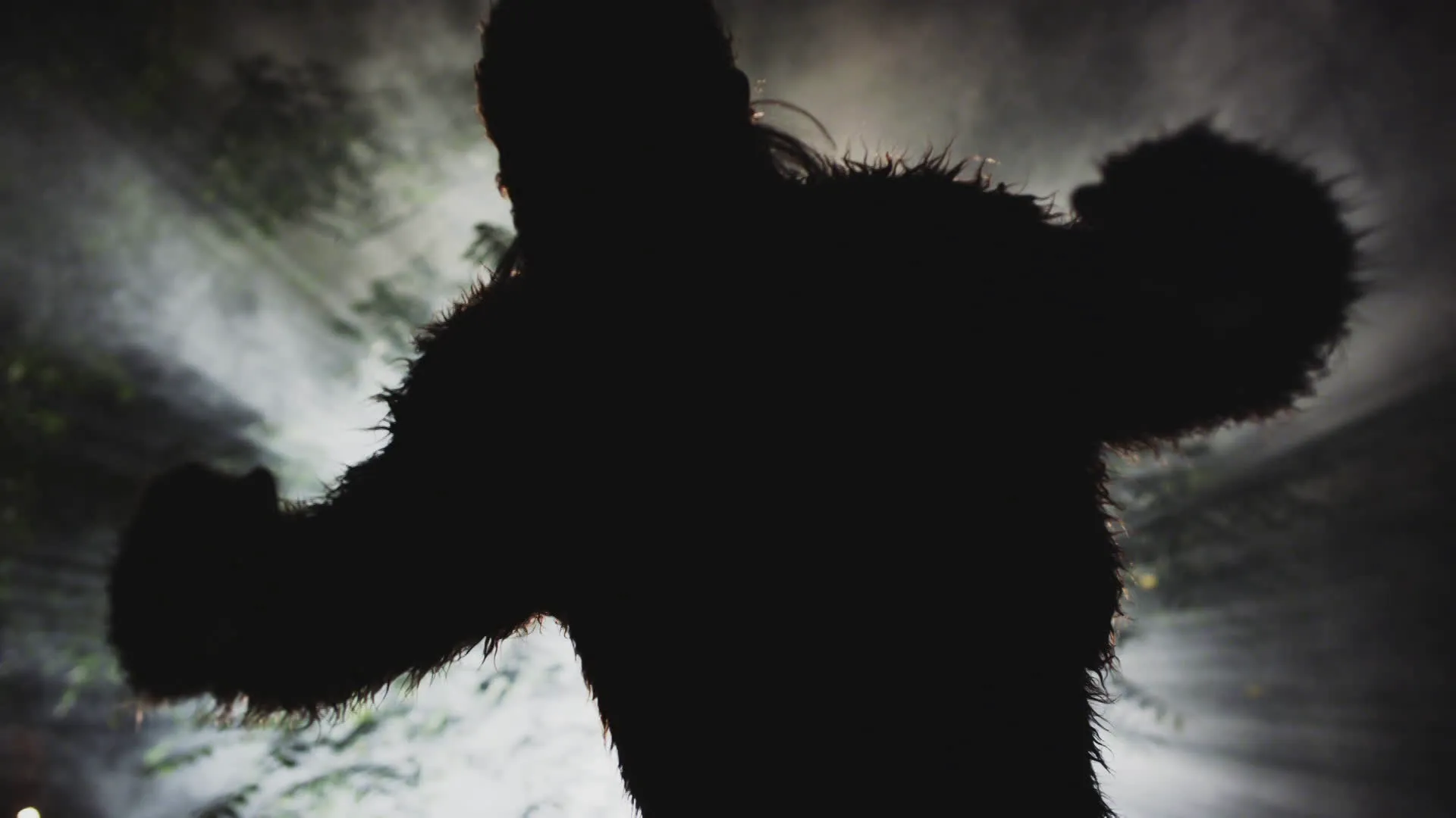 thumbnail - S1:E1 MonsterQuest: Chasing Bigfoot