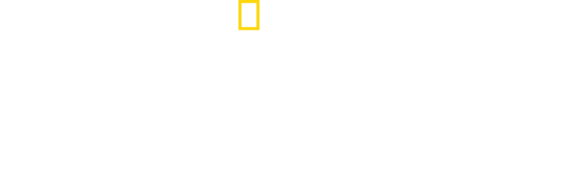 アウトロー・アイランド～隔絶された町