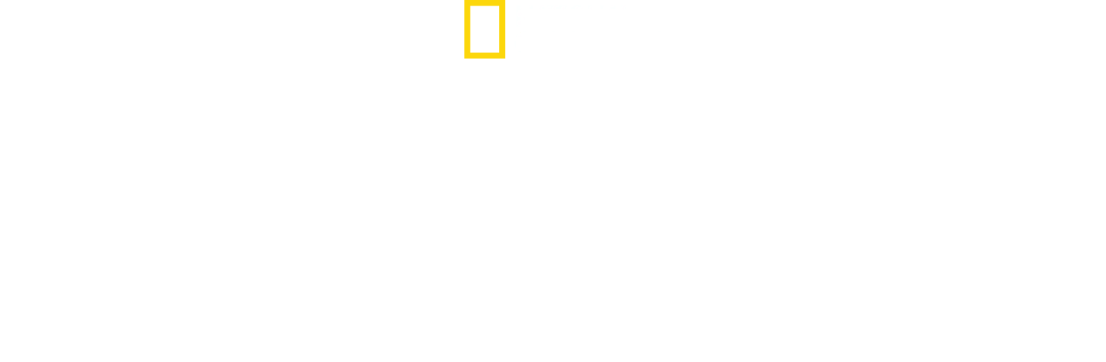 アウトロー・アイランド～隔絶された町