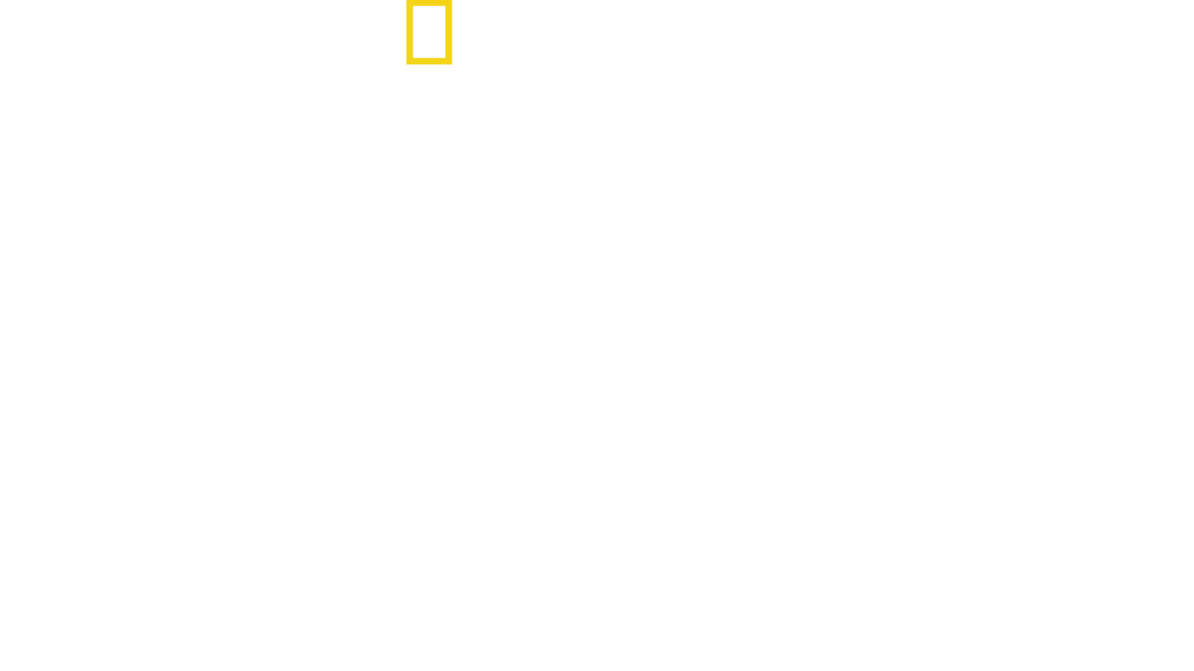 Saved from a Shark