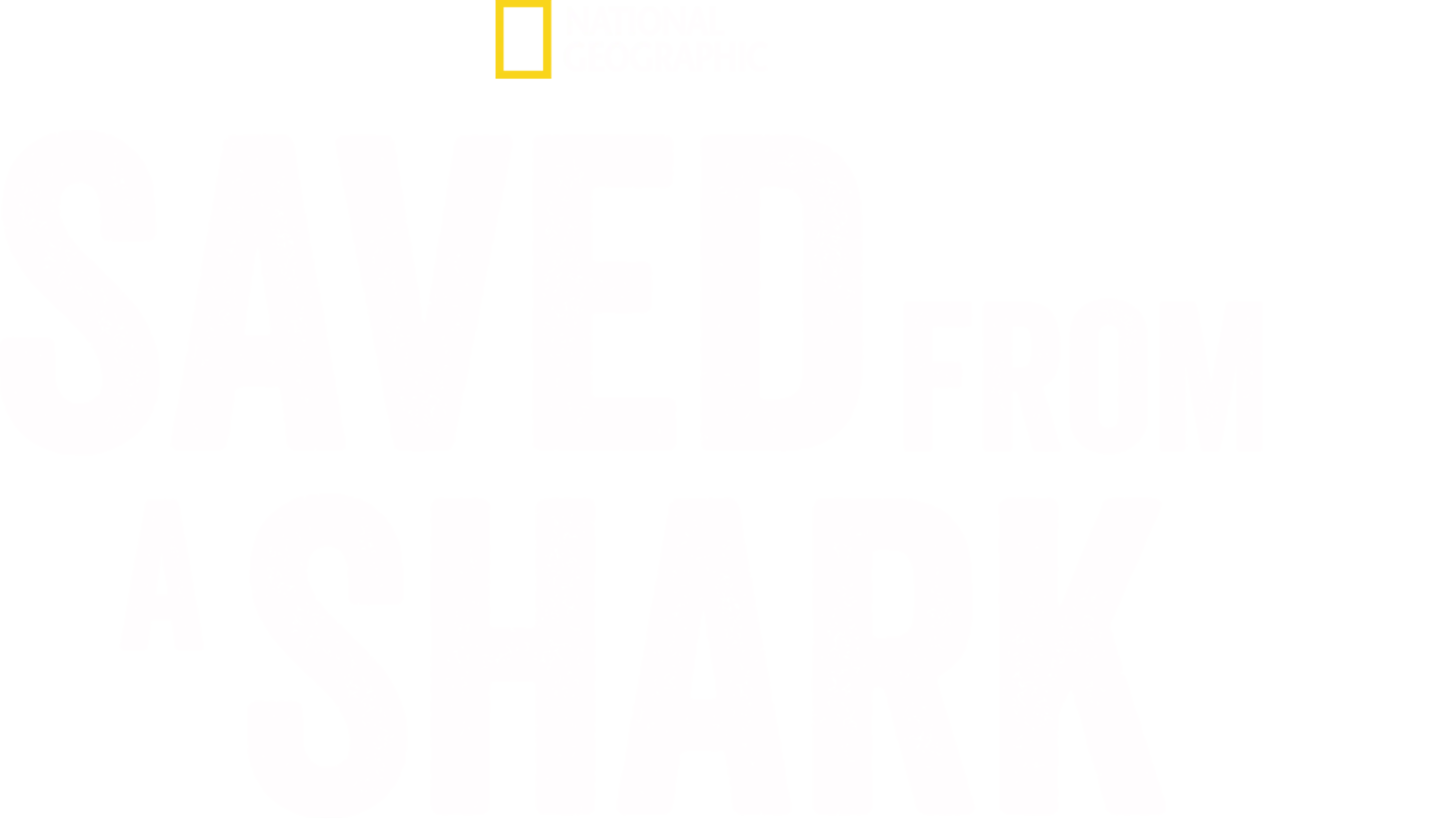 Saved from a Shark