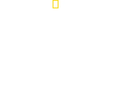 Saved from a Shark