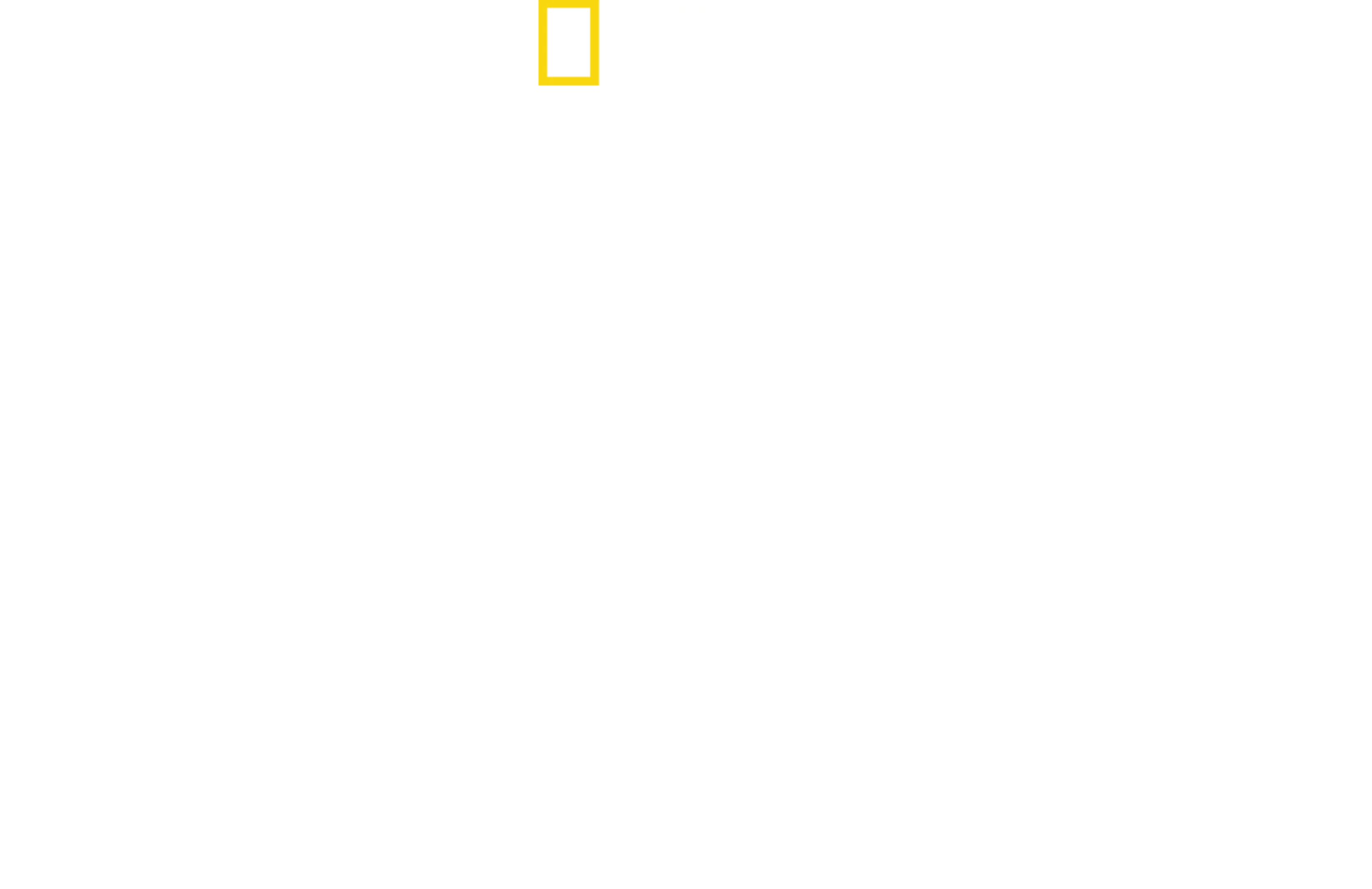 Saved from a Shark
