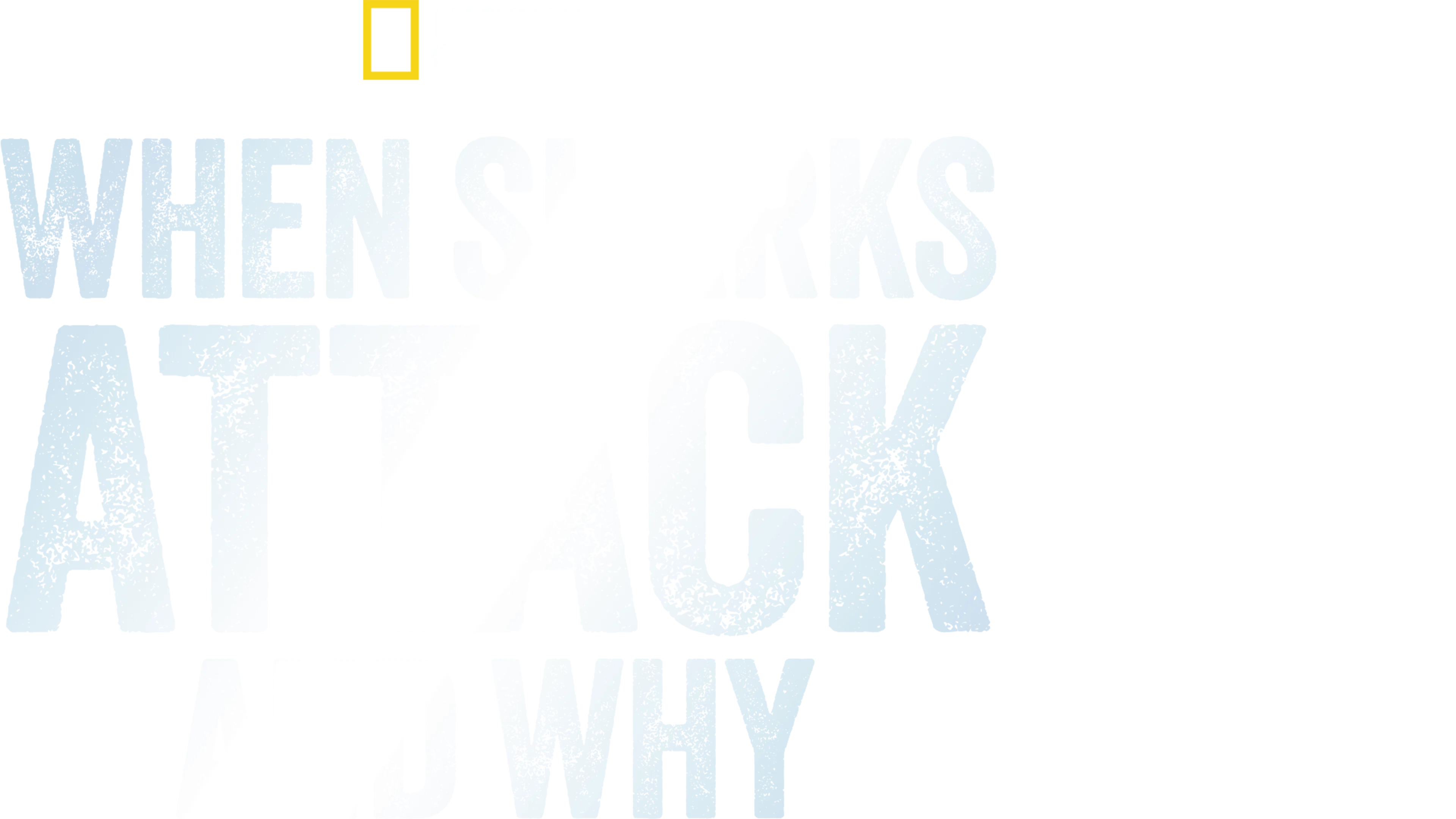 When Sharks Attack... And Why