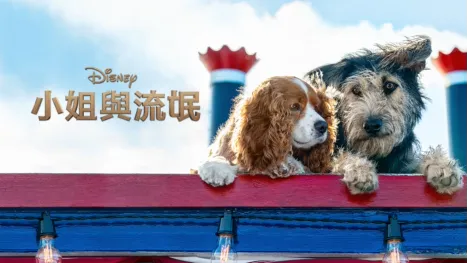 thumbnail - 小姐與流氓