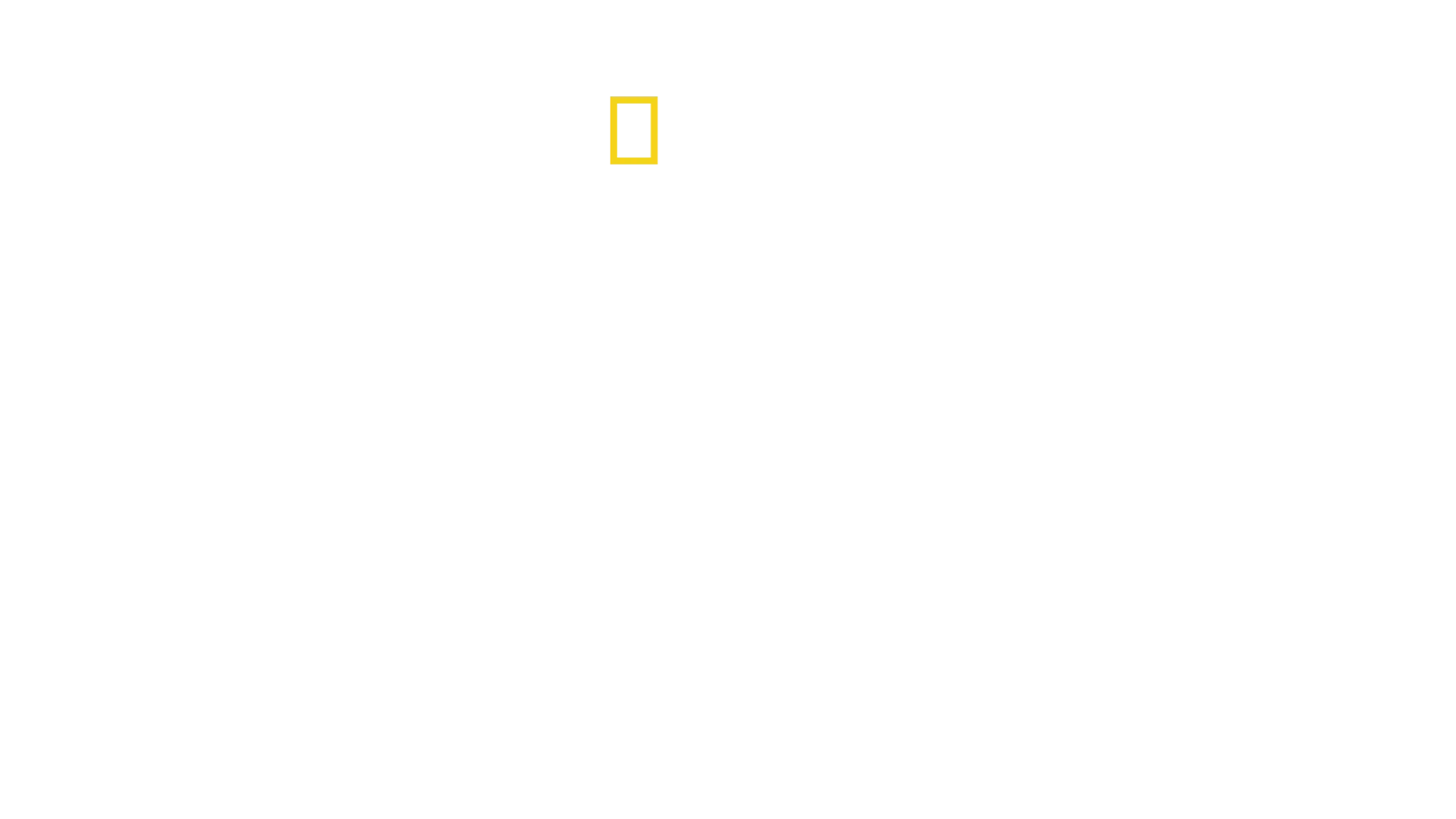 Maailman kuolettavimmat käärmeet