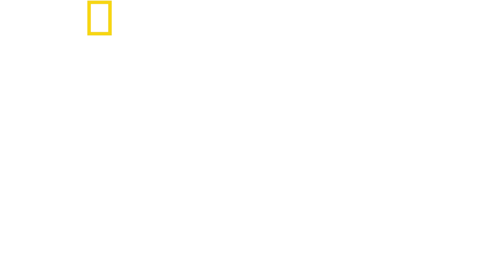Delfíni zblízka s Bertiem Gregorym