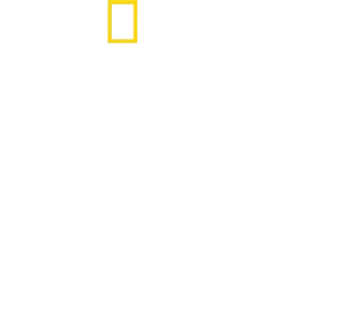 Delfíni zblízka s Bertiem Gregorym