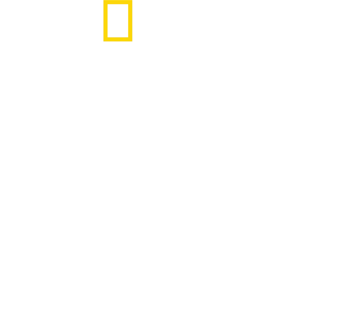 Delfíni zblízka s Bertiem Gregorym