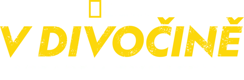 V divočině s Bearem Gryllsem