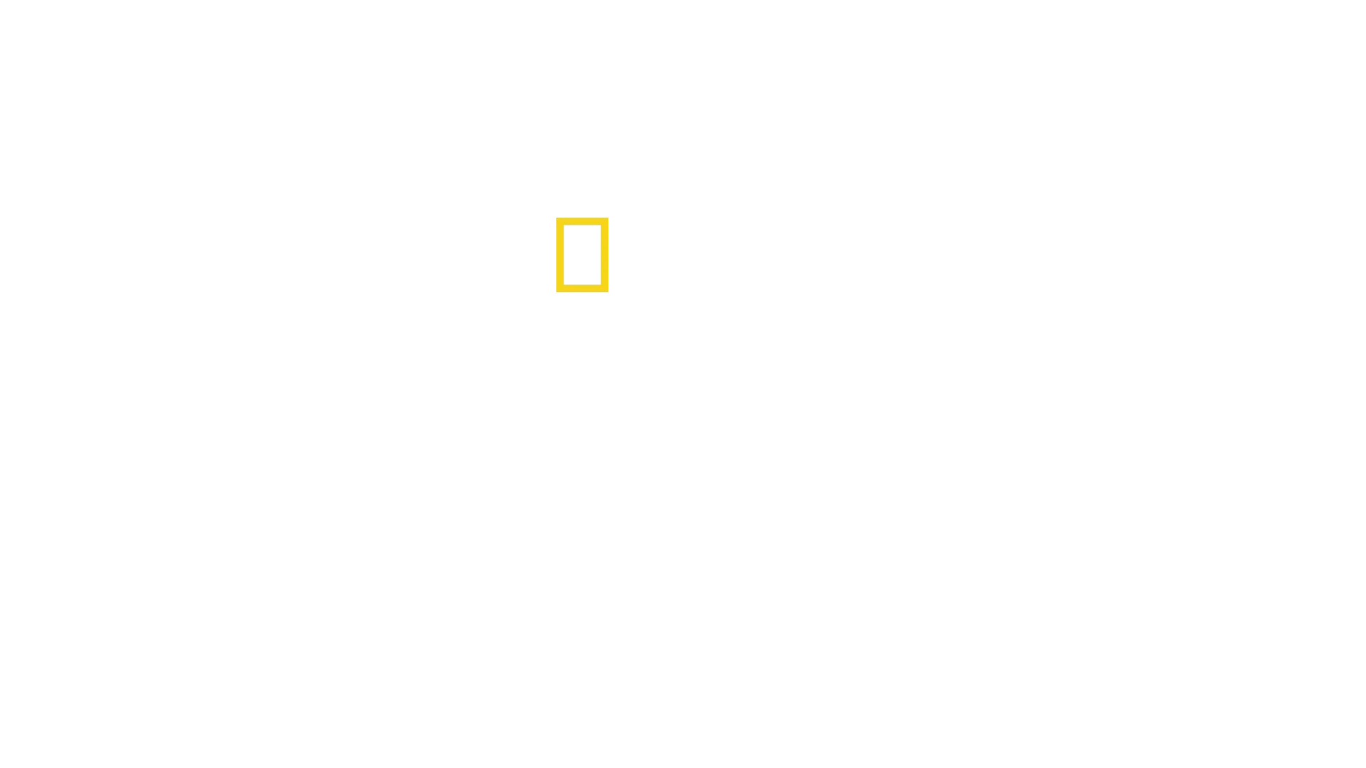 Arctique : un voyage pour guérir