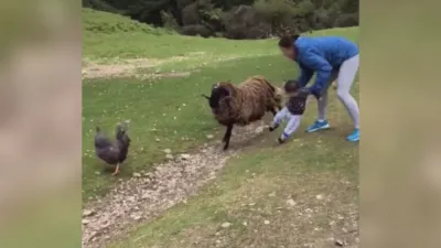 thumbnail - S1:E7 The Parenting Playbook