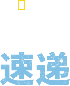 亡命速递