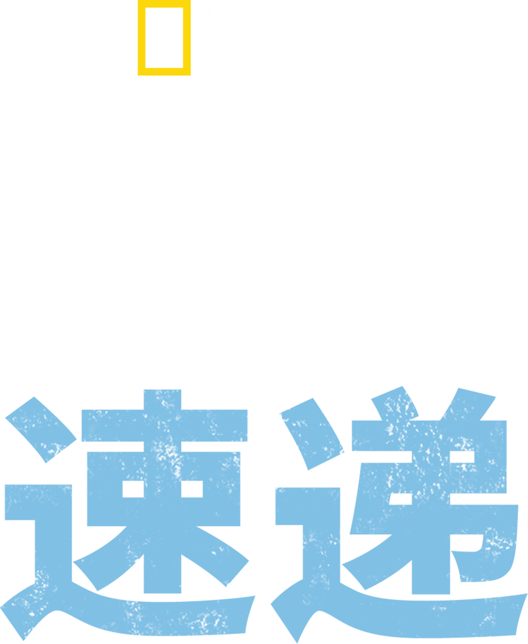 亡命速递