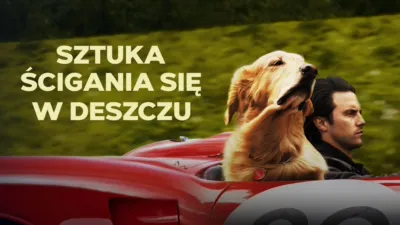 Sztuka ścigania się w deszczu