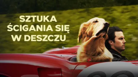 thumbnail - Sztuka ścigania się w deszczu