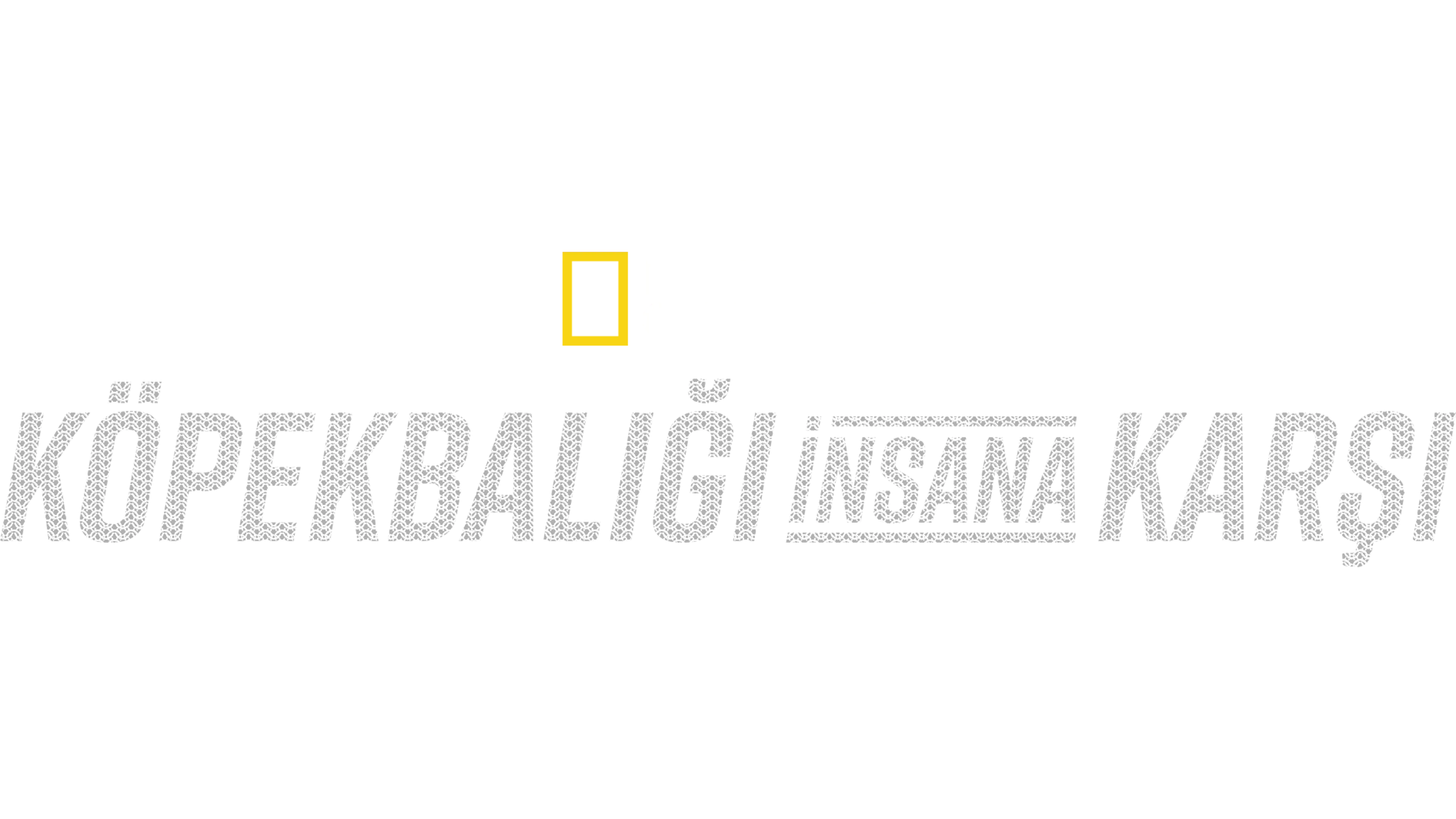 Köpekbalığı İnsana Karşı