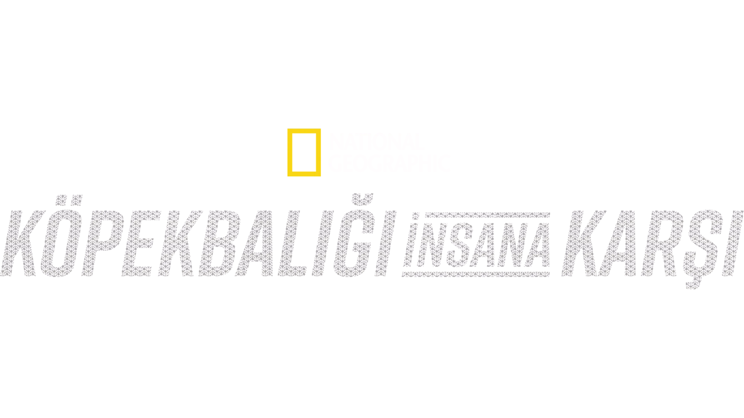 Köpekbalığı İnsana Karşı