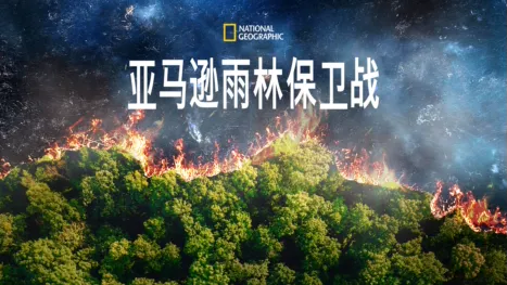 thumbnail - 亚马逊雨林保卫战