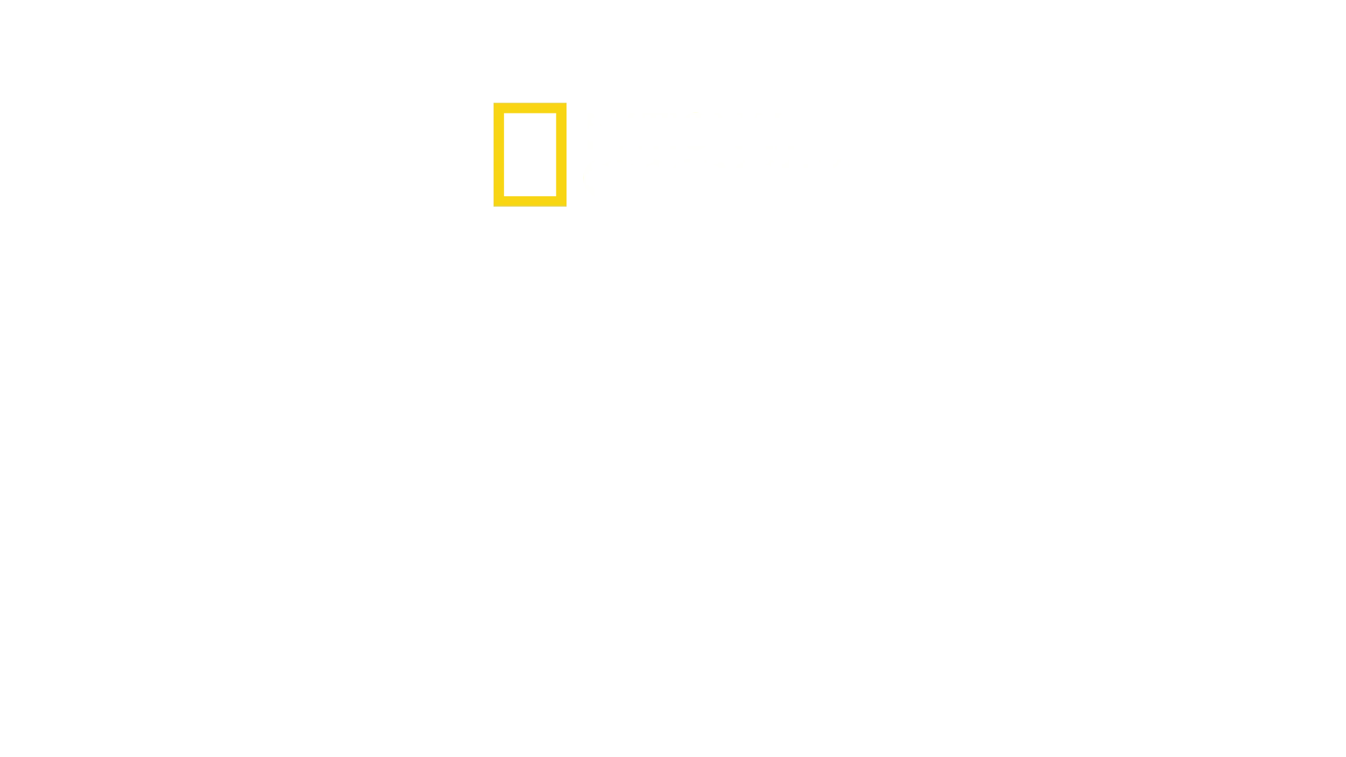 아마존 탐험