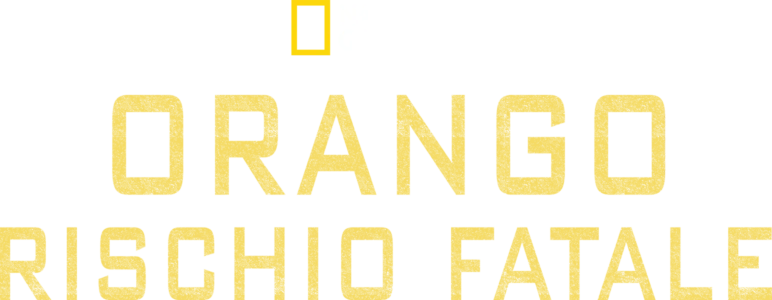 Orango: rischio fatale