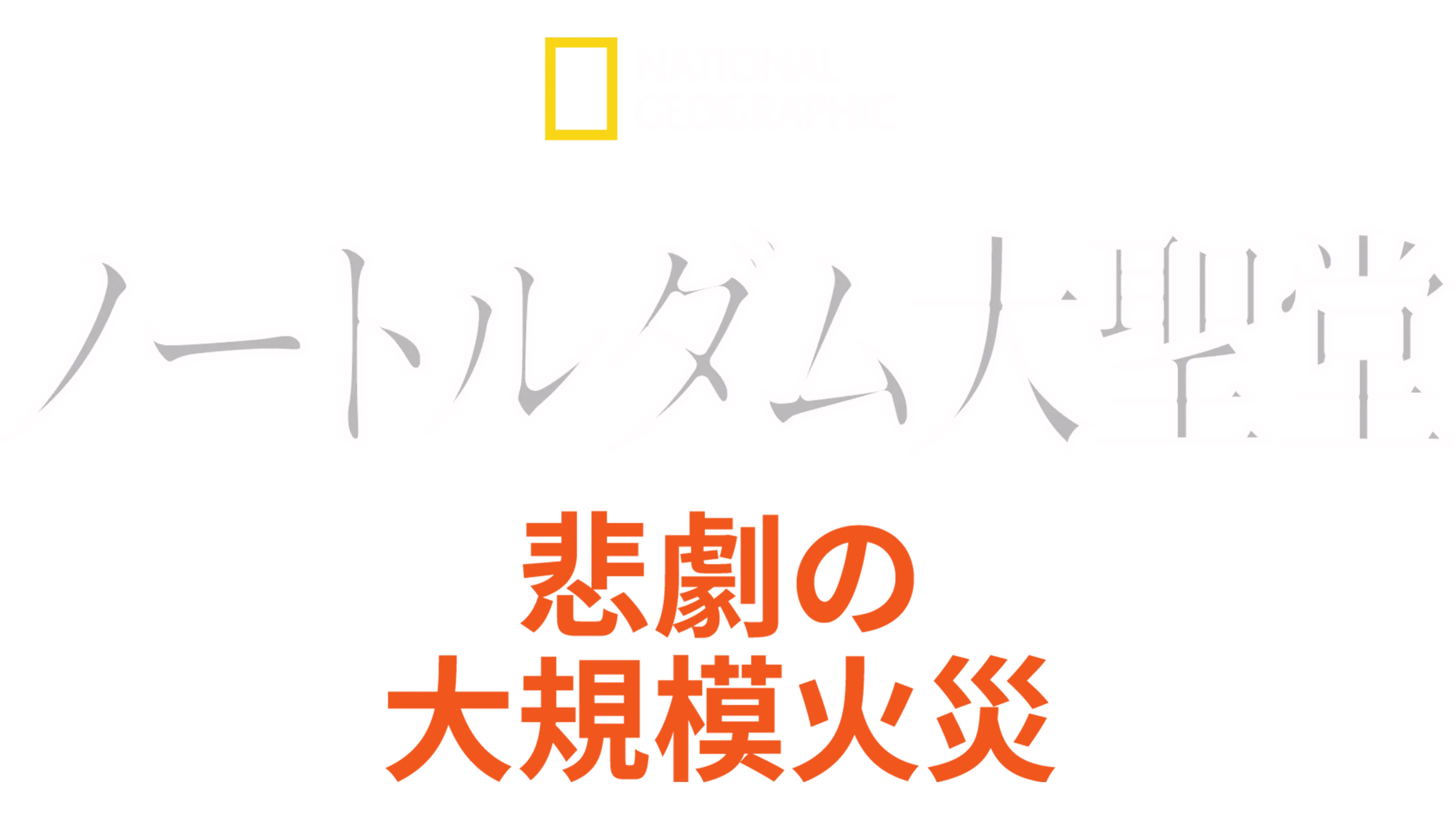 ノートルダム大聖堂：悲劇の大規模火災