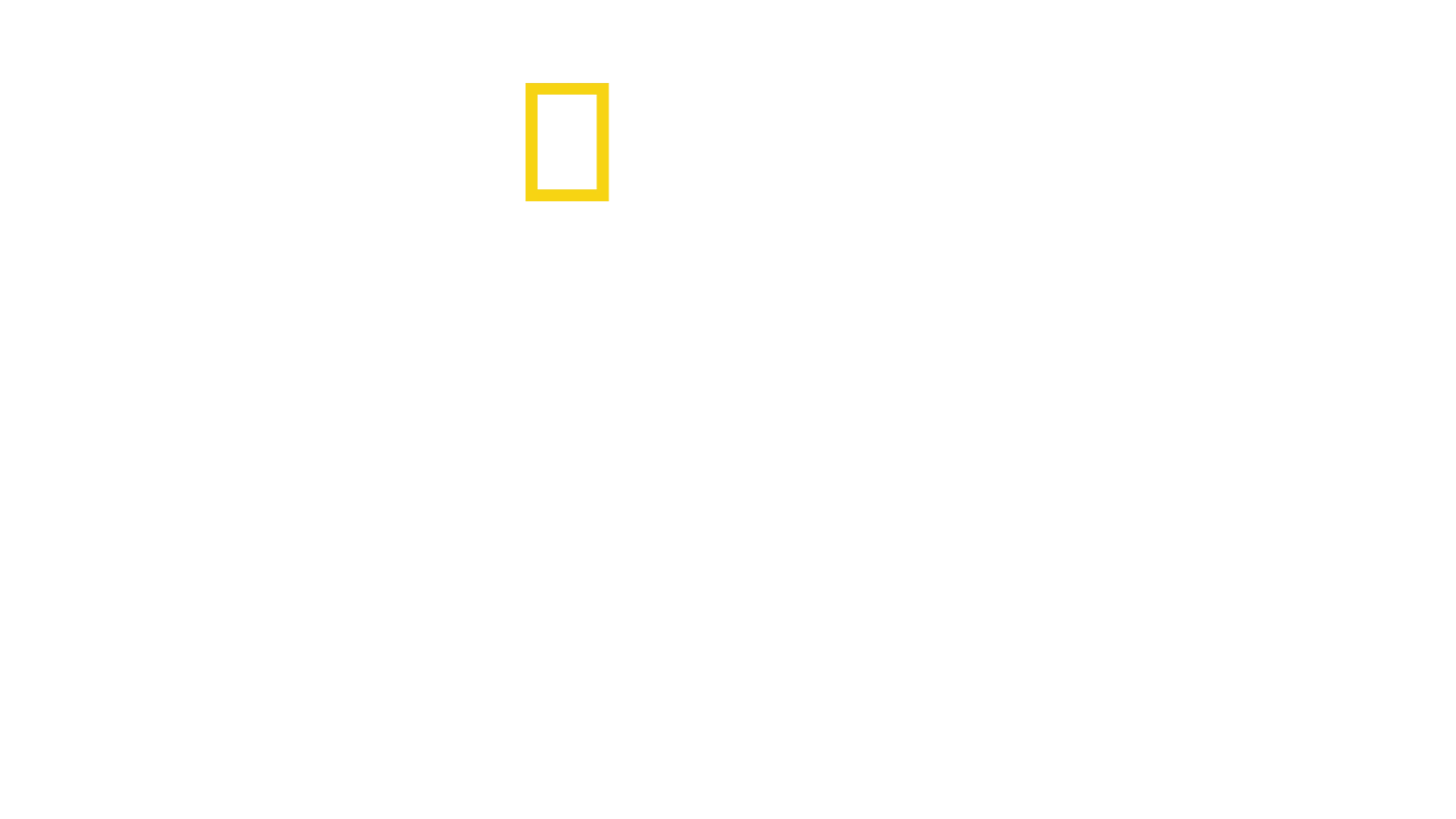 Dzika Argentyna