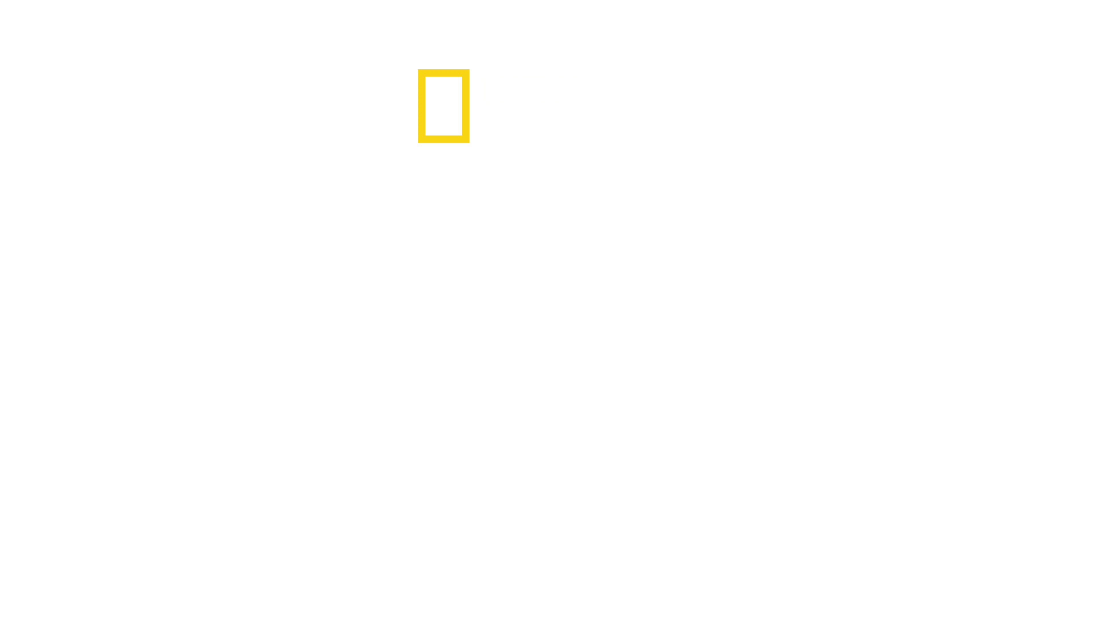 Φύλακες του Θησαυρού της Αιγύπτου