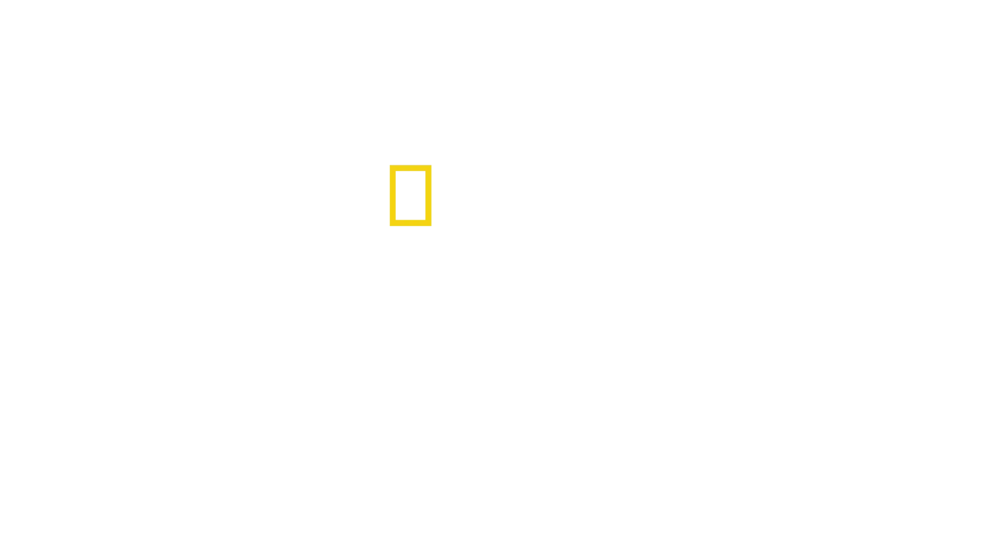 Zászlókészítés - a személyes ügy