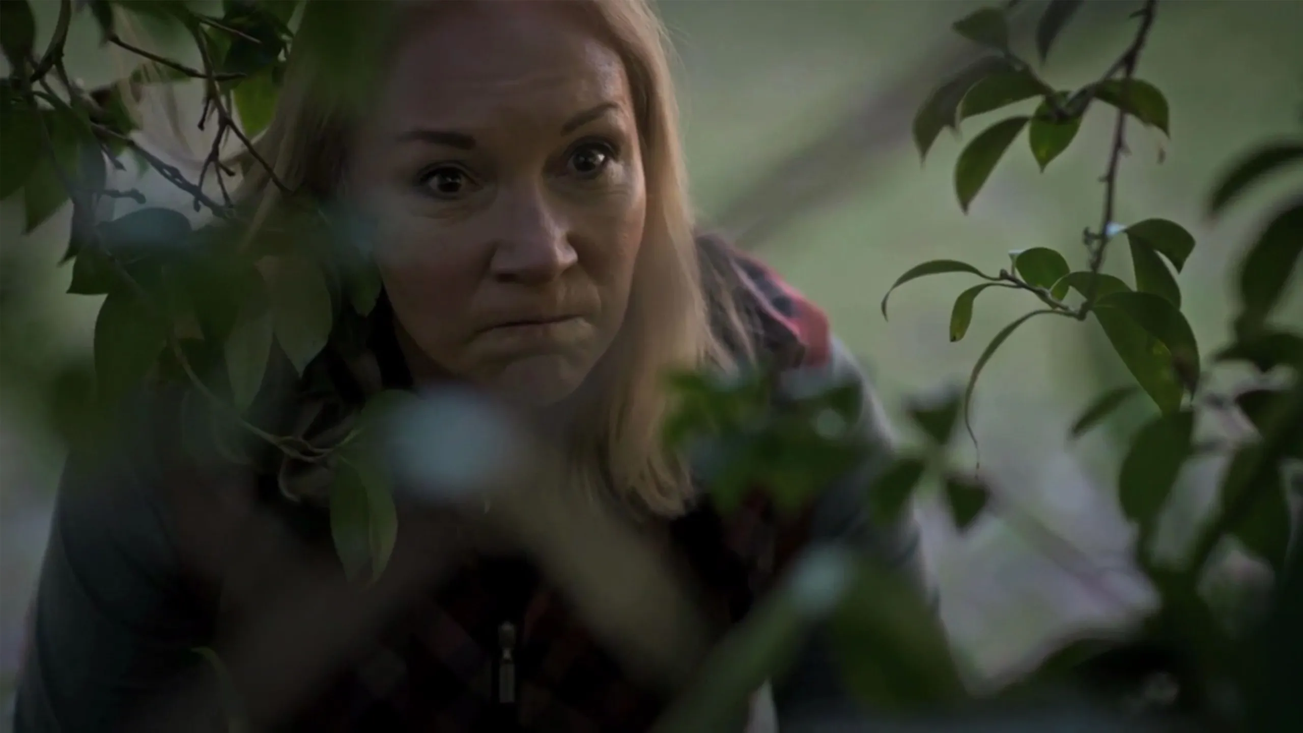 thumbnail - S12:E2 Kiss Then Kill