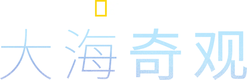 大海奇观