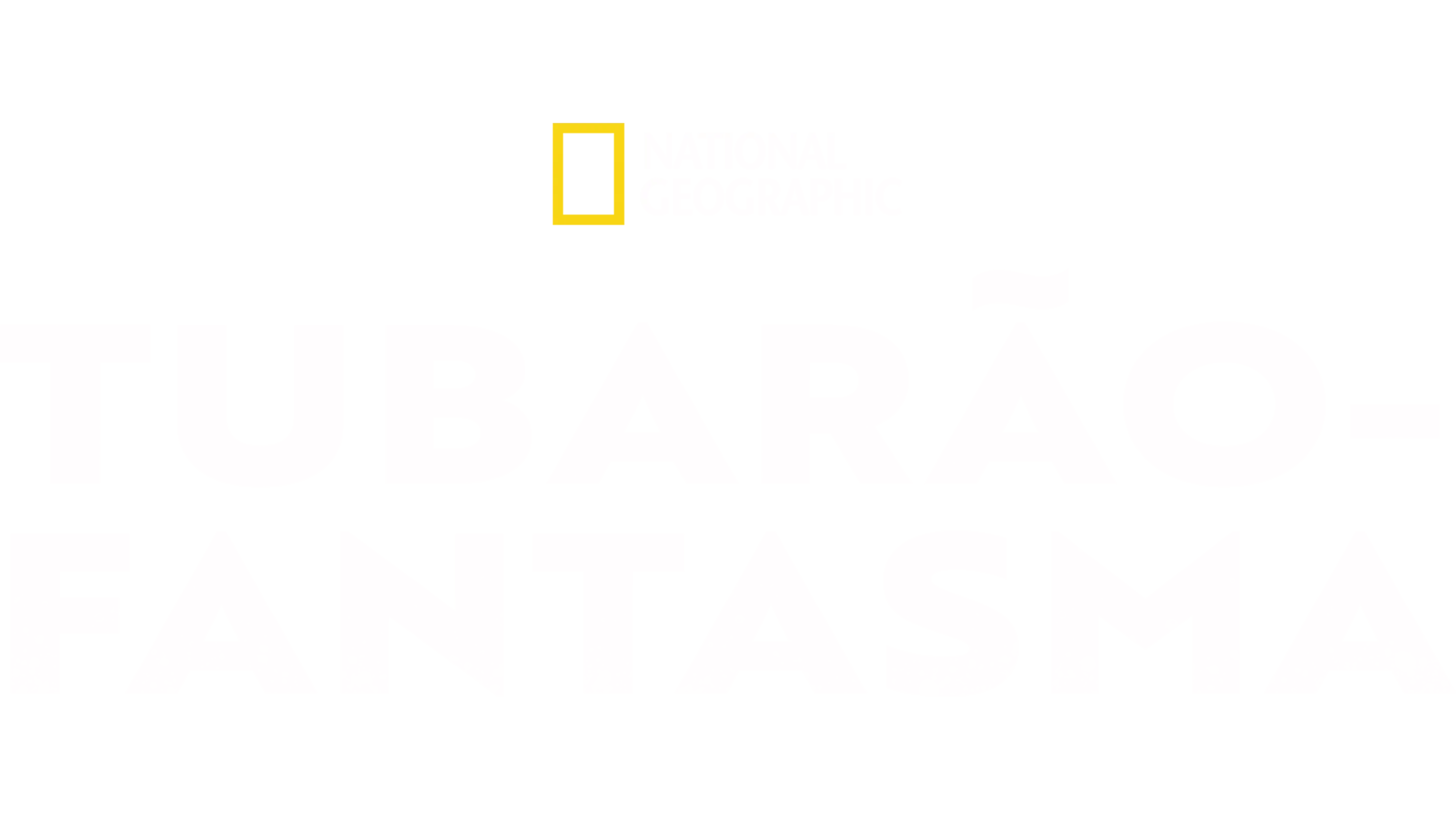Tubarão-Fantasma