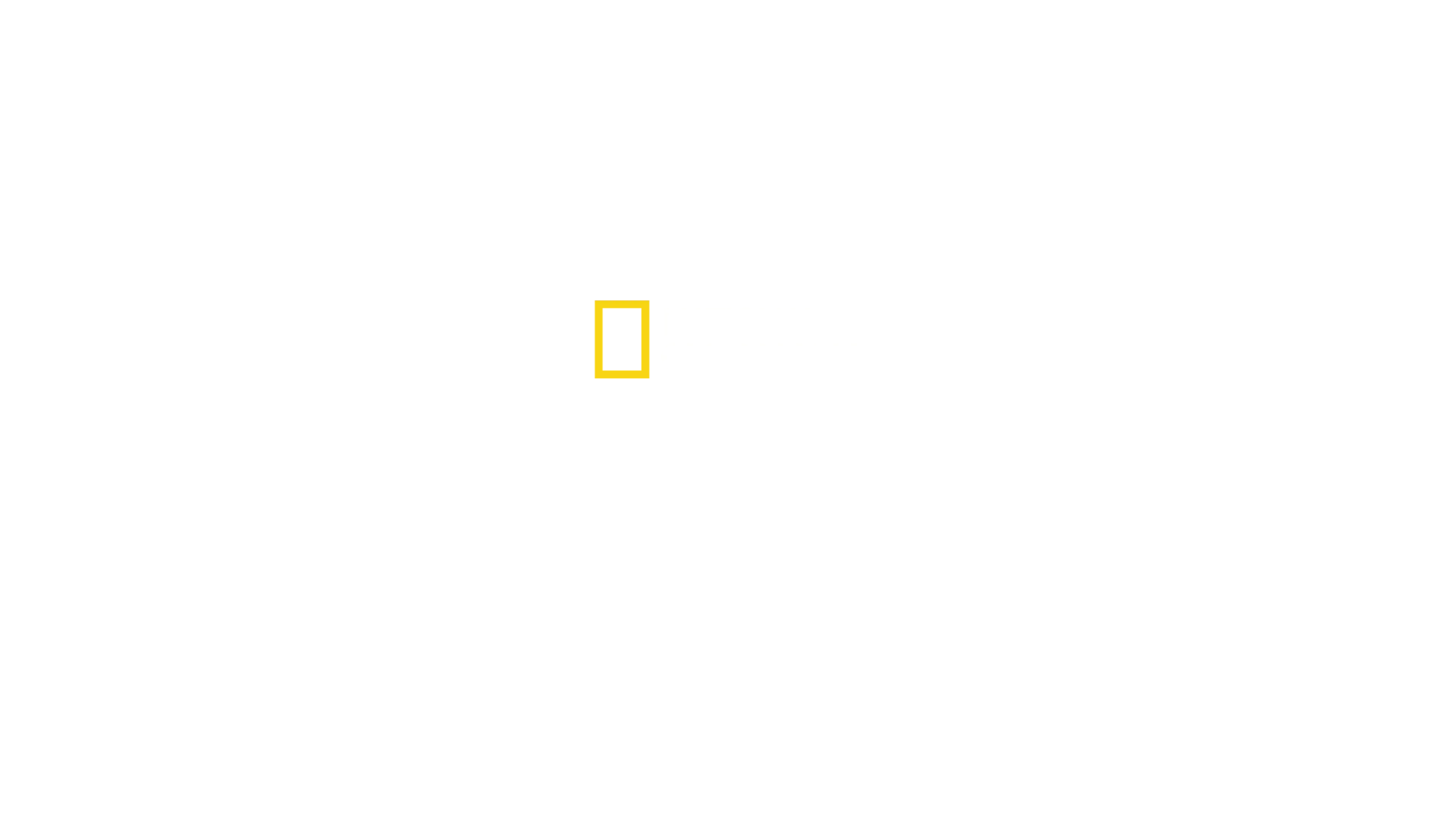 Köpekbalığı Ve Ton Balığı
