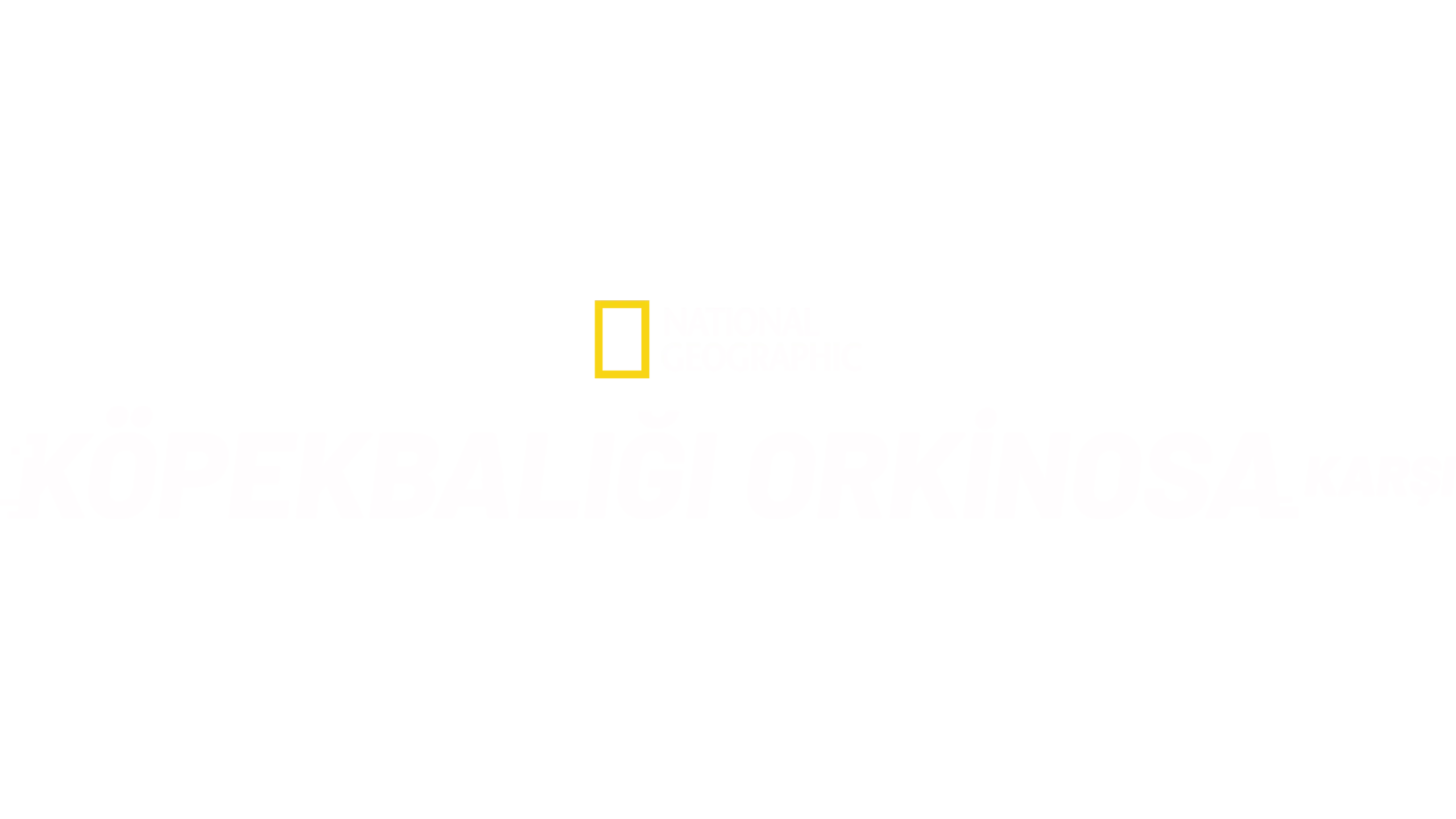 Köpekbalığı Ve Ton Balığı