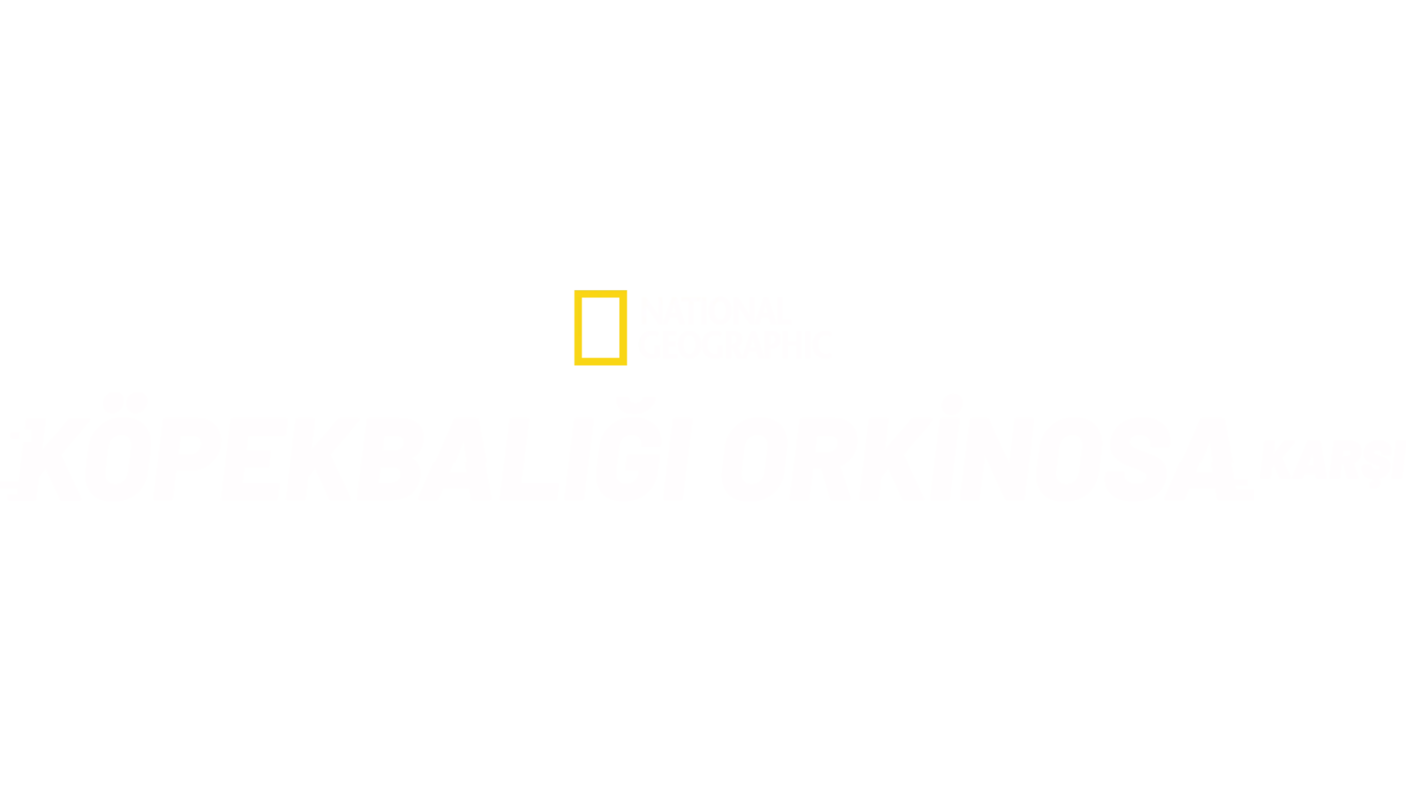 Köpekbalığı Orkinosa Karşı