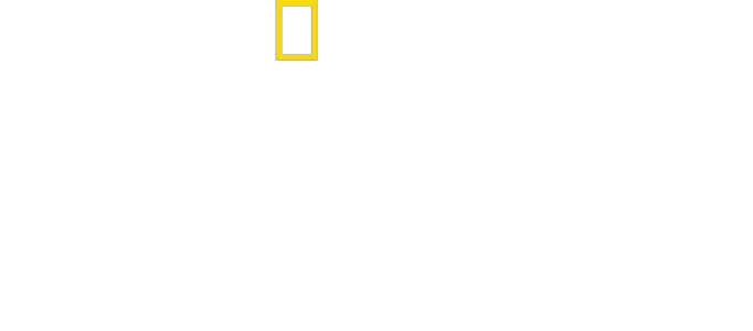 海洋保衛者雅克庫斯托