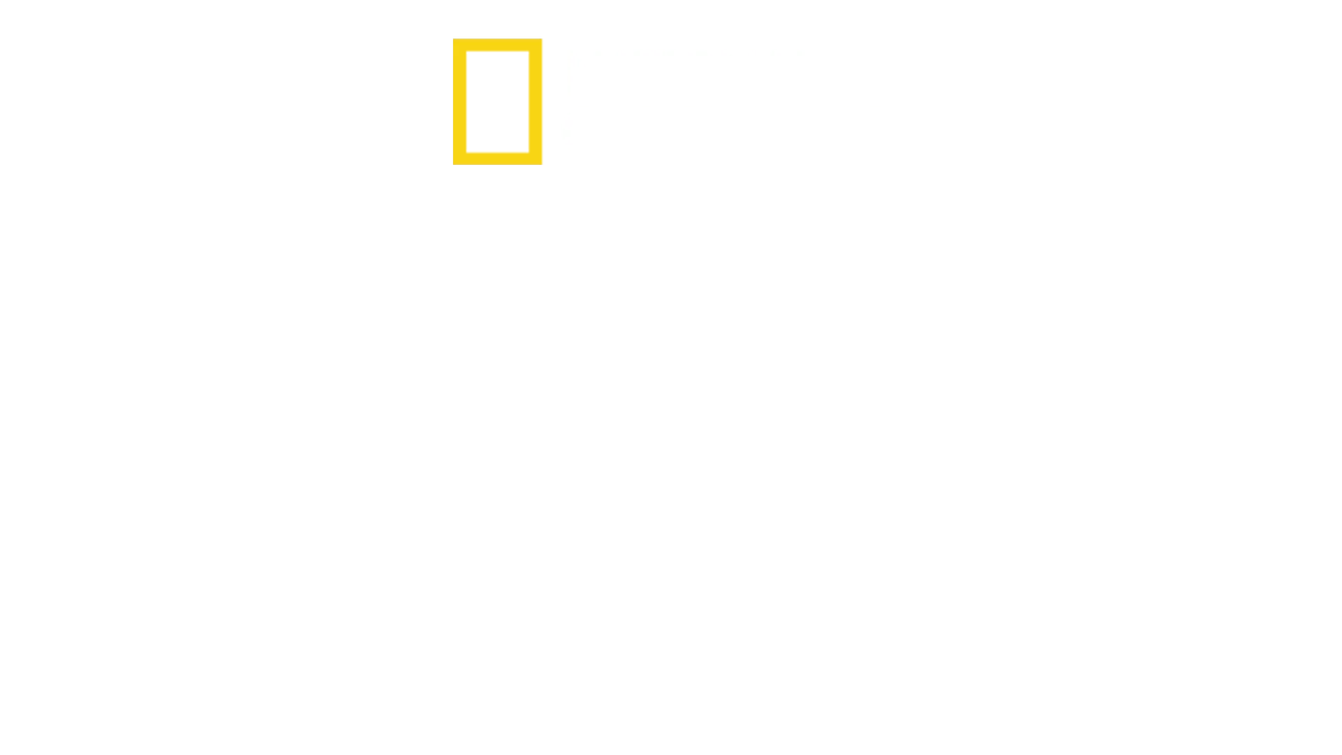 トップガン：ザ・エリート・パイロット