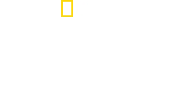 トップガン：ザ・エリート・パイロット