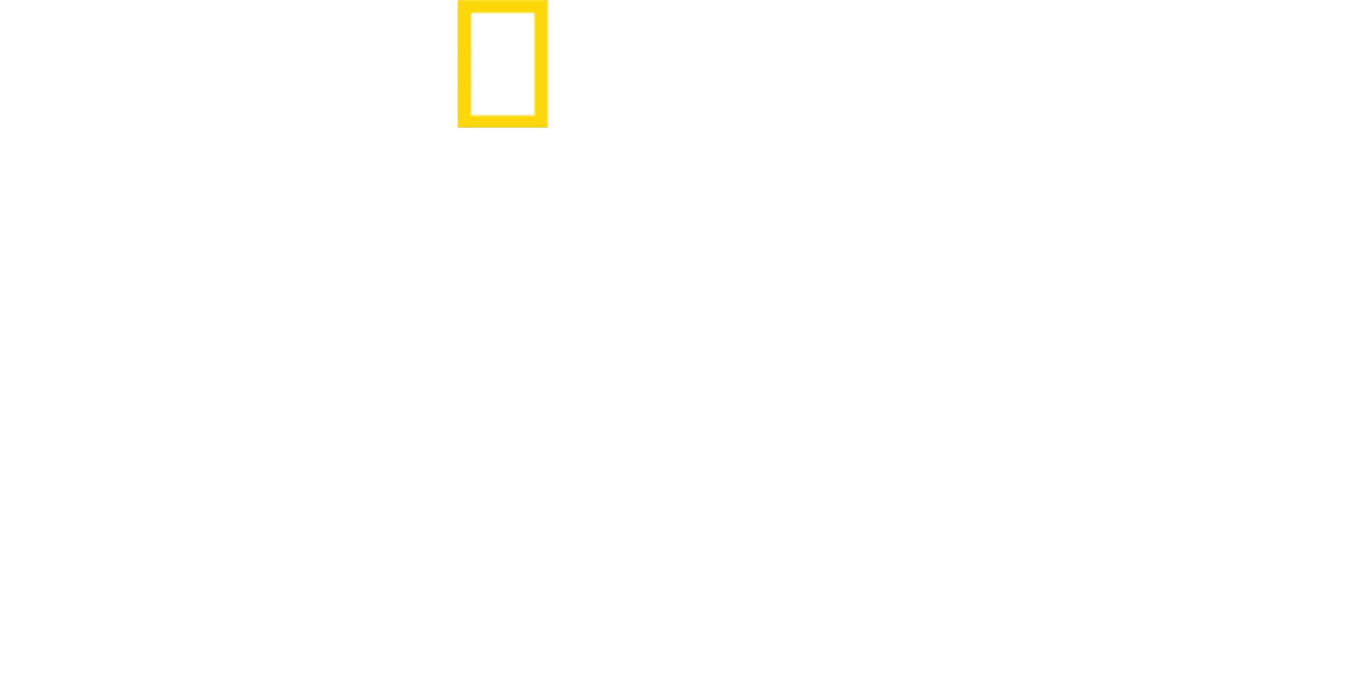 トップガン：ザ・エリート・パイロット