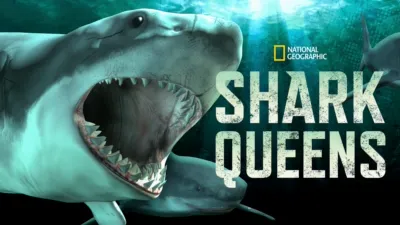 thumbnail - Shark Queens