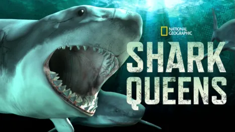 thumbnail - Shark Queens