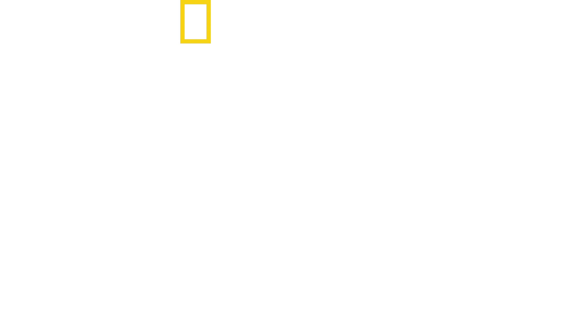 Free Solo - Sfida Estrema