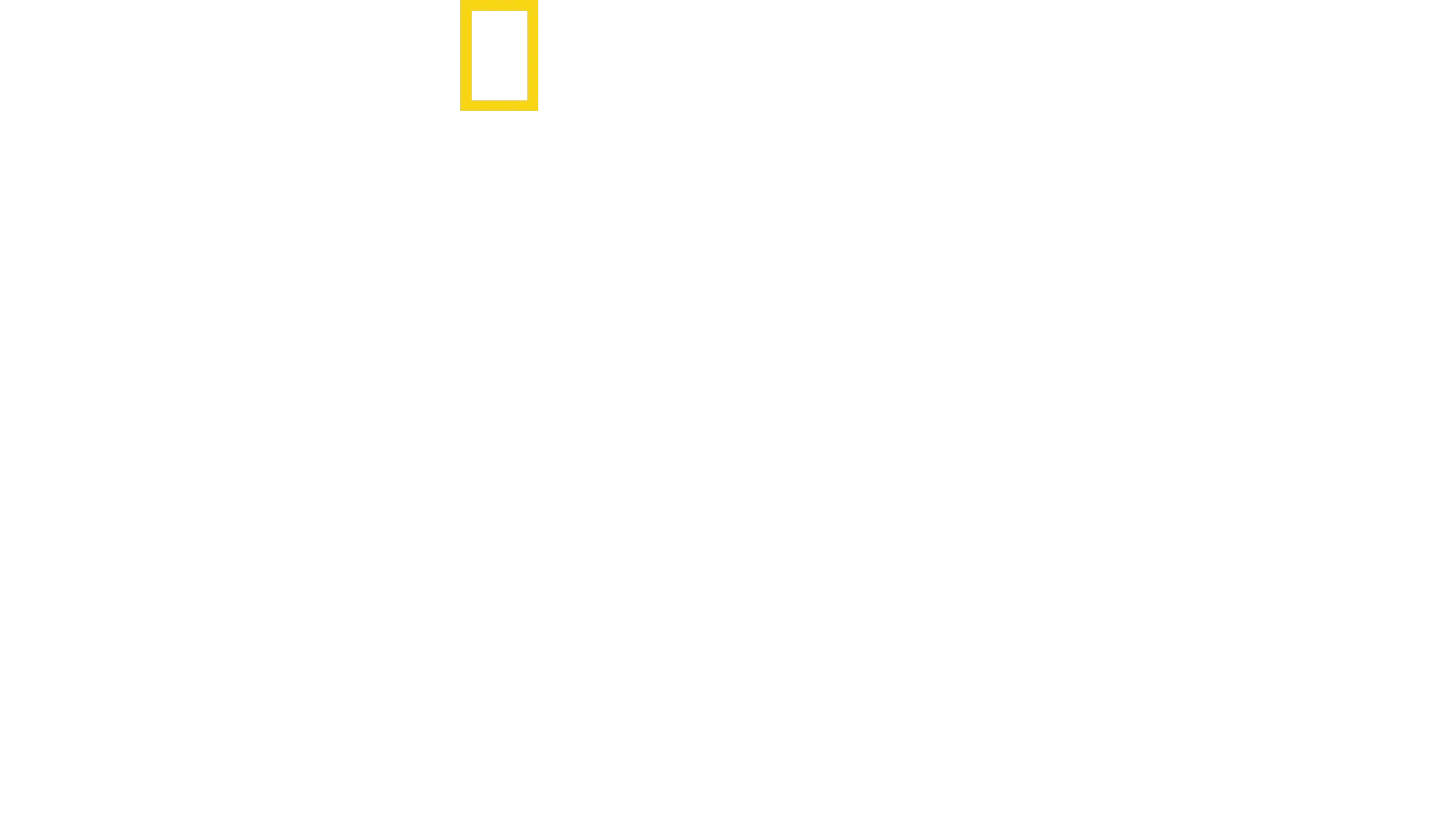 Free Solo - Sfida Estrema