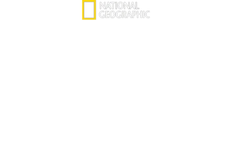 Free Solo - Sfida Estrema
